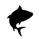 xfishyy