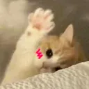 😽tinykibby's 🧶 Playground