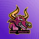 ROF ESPORTS