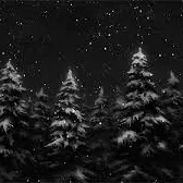 ❄White City❄ — Monitoring des Discord-Servers, Statistiken und Bewertung