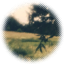 ✿  ﹒  the butterfly house  🌈🌱