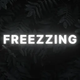 FREEZZING | Community — Дискорд Сервер