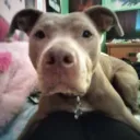 Friewnds :3 discord icon