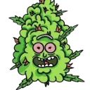 Donny Hub