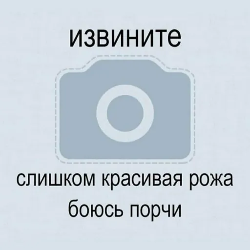 Сильвестеры — мониторинг Discord сервера, статистика и рейтинг