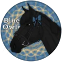 𝐁𝐥𝐮𝐞 𝐎𝐰𝐥𝐬