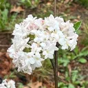 Creator’s Retreat OCs and Art