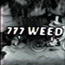 7.7.7. WEED