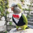 Yook öyle Discord Server Icon