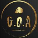 Grupo de Operaciones Armadas 2.0 Discord Server Icon