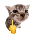 Annymiau