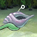 The Conch 🐚