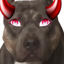 Pitbull Demon Dedication Discord Server Icon