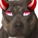 Pitbull Demon Dedication Discord Server Icon