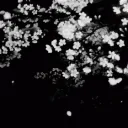 Poison Tree Discord Server Icon