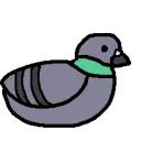 Pigeon Coop
