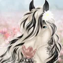 ∗꙳﹒⺌﹒Opal Cats Cafe︕ DISBANDED