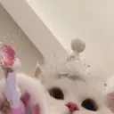 Friend Paradise's icon