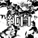 순백