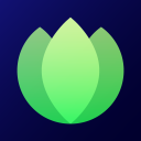 Lotus Arts avatar