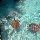 Zanzibar 🇹🇿