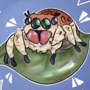 Jumping Spiders