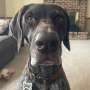reedcord
