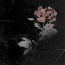 「𝐅𝐎𝐋𝐈𝐄 𝐀̃ 𝐃𝐄𝐔𝐗」 Discord server icon