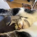 Tntfil🤯 discord icon