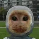 OG Capuchin