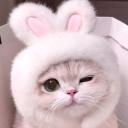 Server Icon