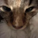 ewwwwe
