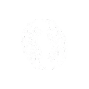 Odin’s Raven Clan