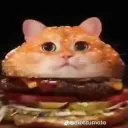 benny wenny's server!!! Discord Server Icon