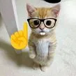 La secta de Foxys a