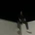 2Wild Central | Twitch ~ jerrymiah2wild