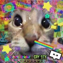 A Collection Of Collections 2.... Discord Server Icon