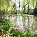 Jardim Do Éden discord icon