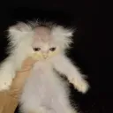 𝐜𝐫𝐚𝐜𝐤 𝐡𝐞𝐚𝐯𝐞𝐧ᵗᵛ☾