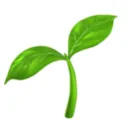notes' plant balcony