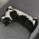 Edge's Hangout Spot