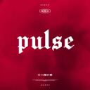 Pulse Discord Server Icon