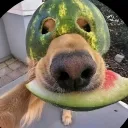 𝐦𝐚𝐤𝐚 𝐬𝐭𝐫𝐞𝐞𝐭