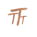 The Traveling Totum