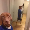 Chuche Discord server icon