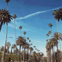 Los Angeles Discord server icon