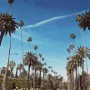 Los Angeles server icon