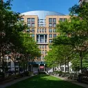 Stuyvesant