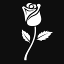 Rosa Special Studio icon