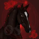 Elite Roses Association Open Server